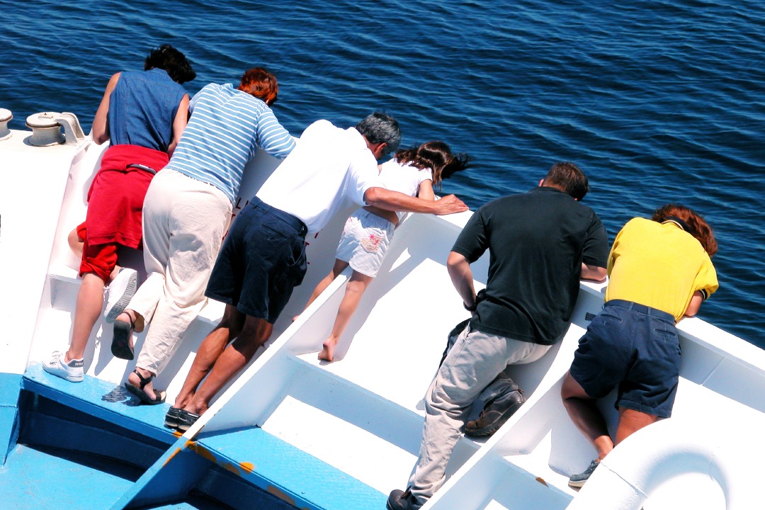 People watching at dolphins